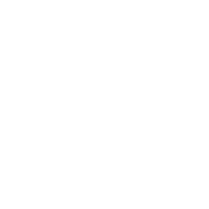 Gainzzz logo